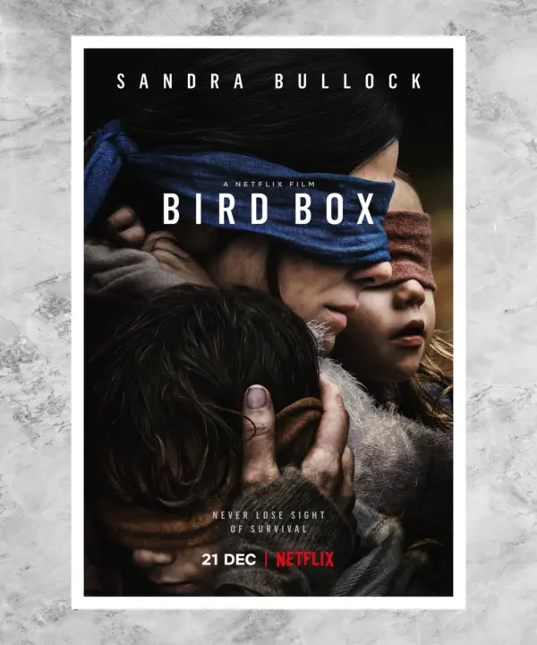 Bird Box Poster
