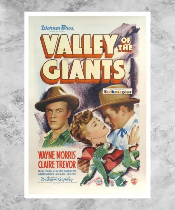 Valley of the Giants Poster